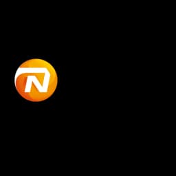 NN Group Logo